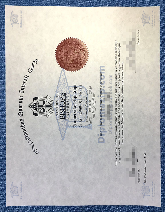Bishops University Diploma