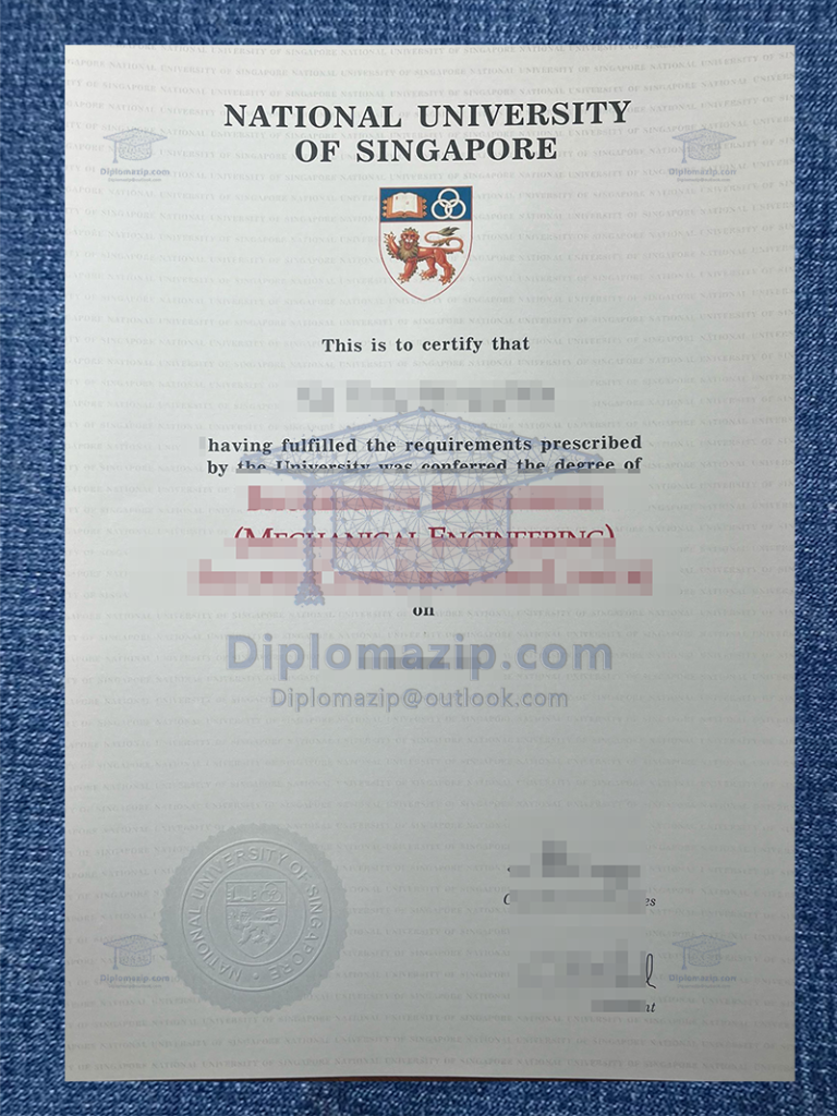 National University Of Singapore Diploma