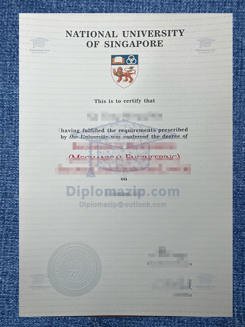 National University Of Singapore Diploma. National University Of Singapore Degree