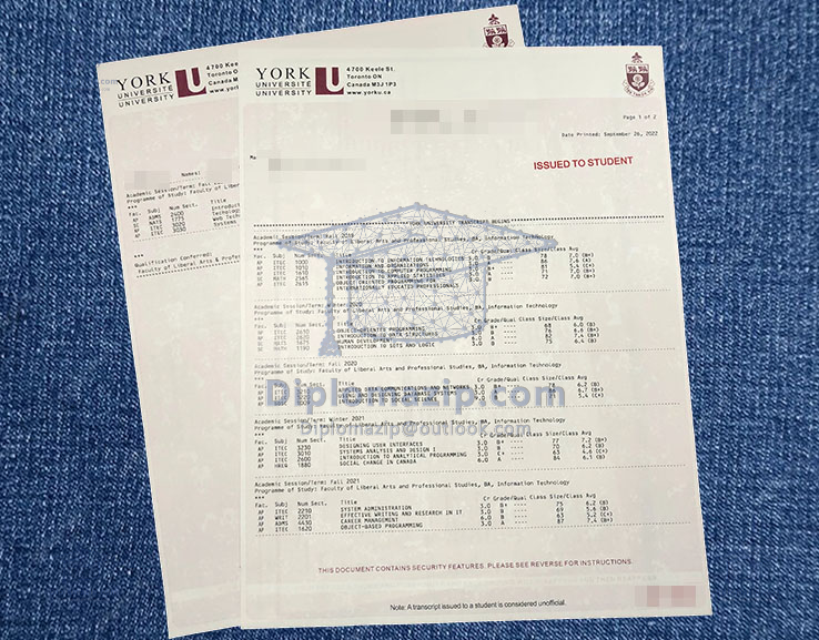 York University Transcript