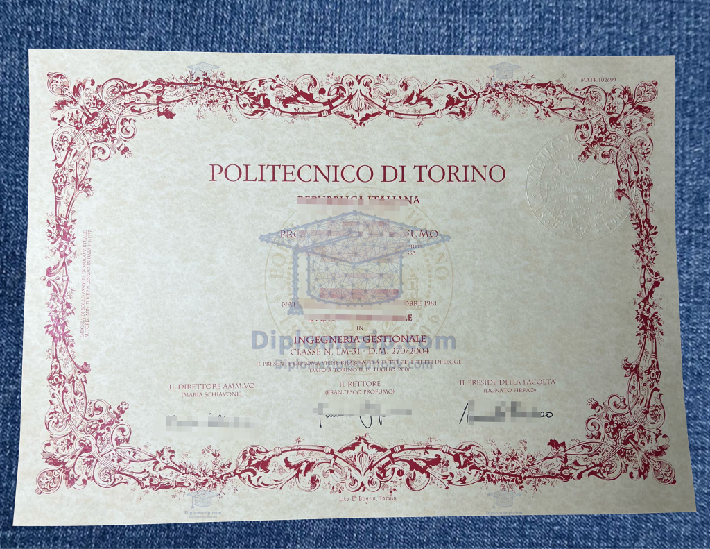 Politecnico di Torino degree