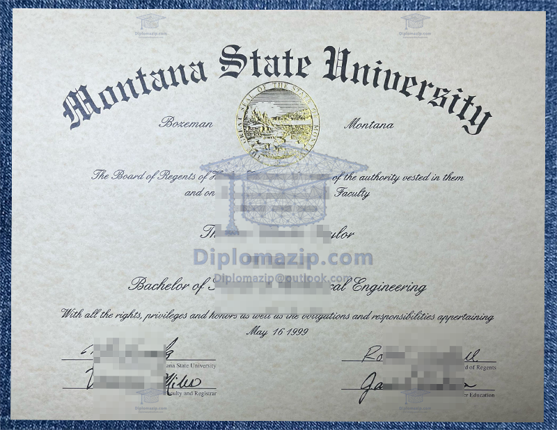 Montana State University Diploma, Montana State University Degree