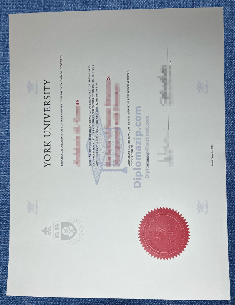 York University Degree